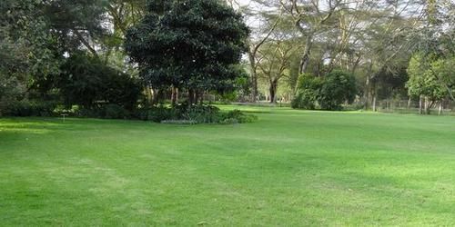 Hibiscus Guest House Nairobi Exterior foto